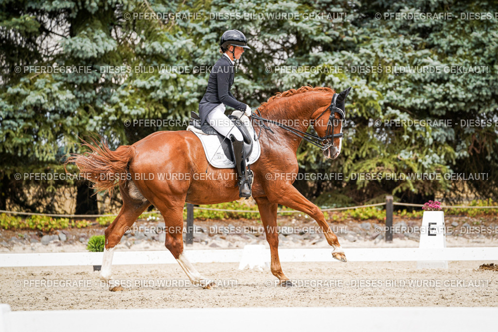 DSC05789 | Pferdegrafie