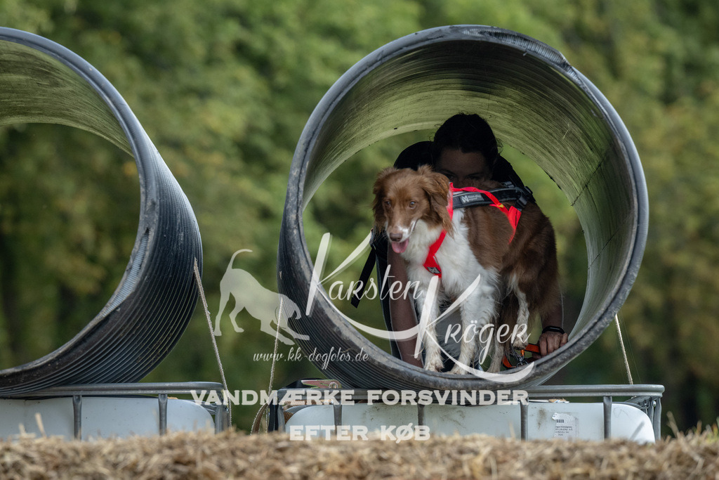 1021_ZZ91954 | kk-dogfotos