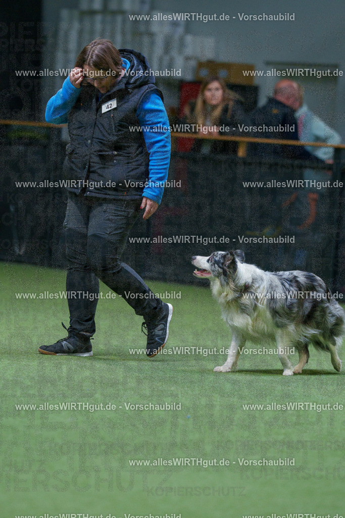 7R506281 | Professionelle Tierfotografie in Mönchengladbach von Daniel Wirth (allesWIRTHgut). Liebevolle & natürliche Bilder von Hunden & Katzen für unvergessliche Erinnerungen.