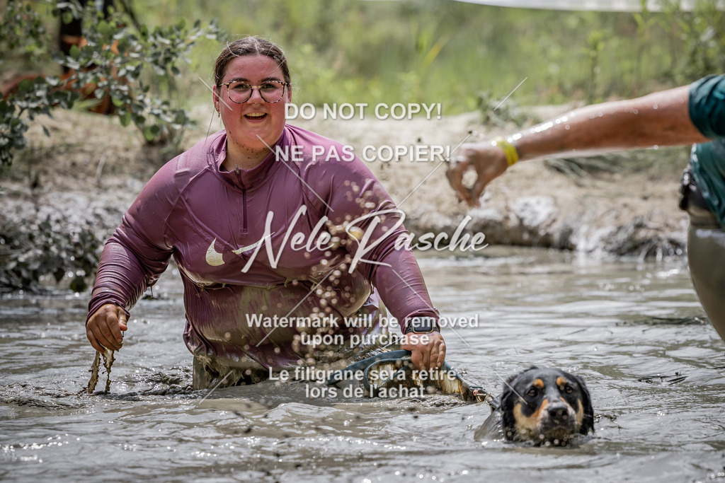 nelerasche_so1230-1300_269 | nelerasche