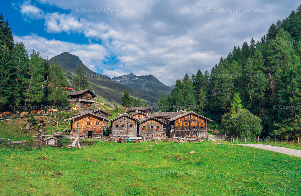 Gletscherweg_Innergschlöss_August_24-464 | piet_flosse