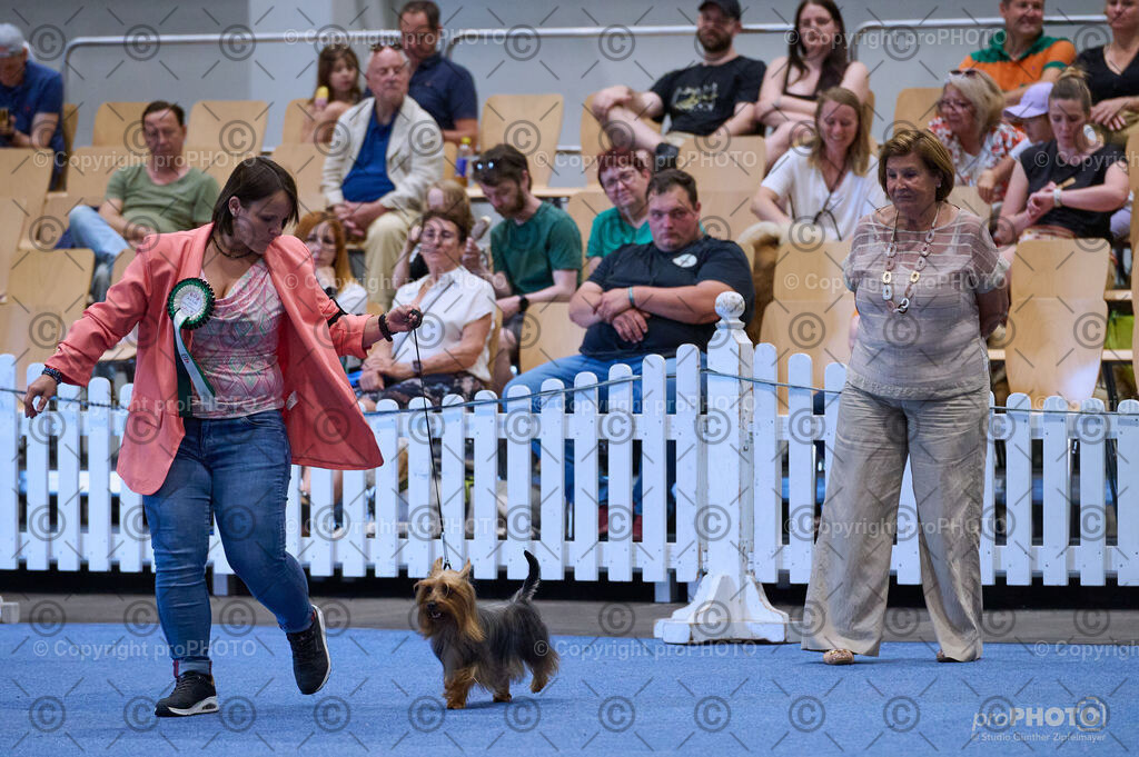 202406_ÖKV-IHA-Tulln24_DSC_3860 | proPHOTO - Realisiert mit Pictrs.com