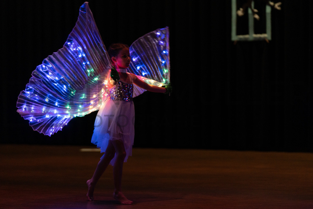 DSC08730 | Tinu Müller Fotografie- Bildershop - Realisiert mit Pictrs.com