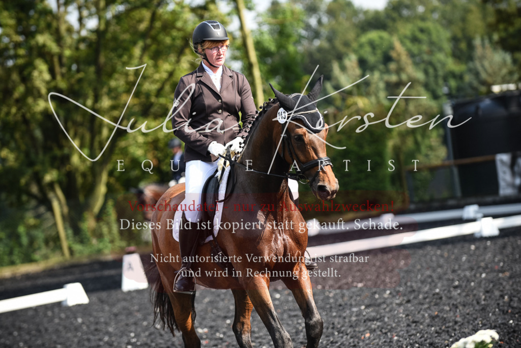 DSC_3090 | Pferde- und Turnierfotografie in Westsachsen. Pferdeportraits, Auftragszeichnungen und intuitive Kunst.