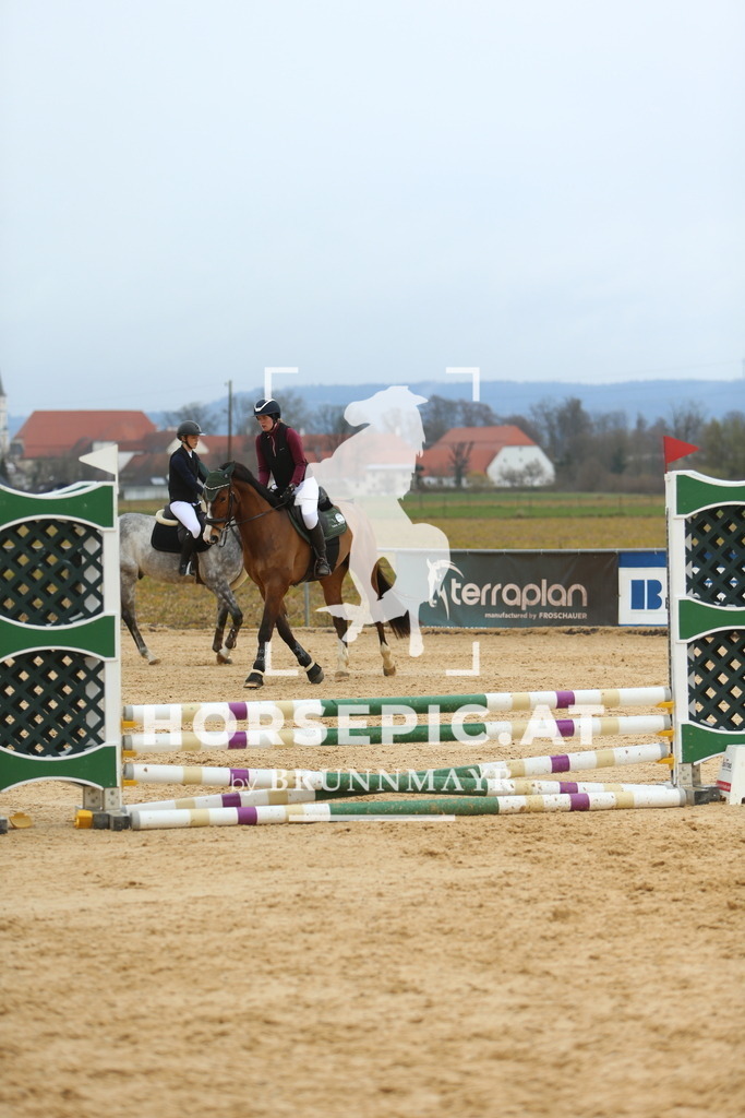 DL2Q1476 | Willkommen bei Brunnmayr - Design & Fotografie – Ihrem Spezialisten für Reitturniere und Pferdeveranstaltungen in Oberösterreich, Salzburg und Bayern! Seit über 17 Jahren sind wir leidenschaftlich dabei.