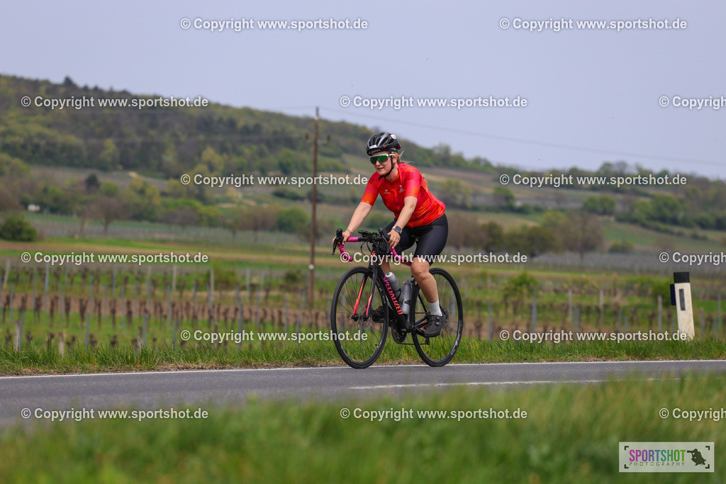 Neusiedlersee Radmarathon 2026 | @sportshot_your_pictrs #yourpictures#roadtowm2029 #nrm #neusiedlerseeradmarathon #neusiedlersee #neusiedlerseetourismus #burgenland #mörbisch #nrm26 #burgenlandtourismus #voglundco #poweredbyburgenlandtourismus #radsport #rad #marathon #ucigranfondo #visitburgenland #ucigranfondoworldseries
