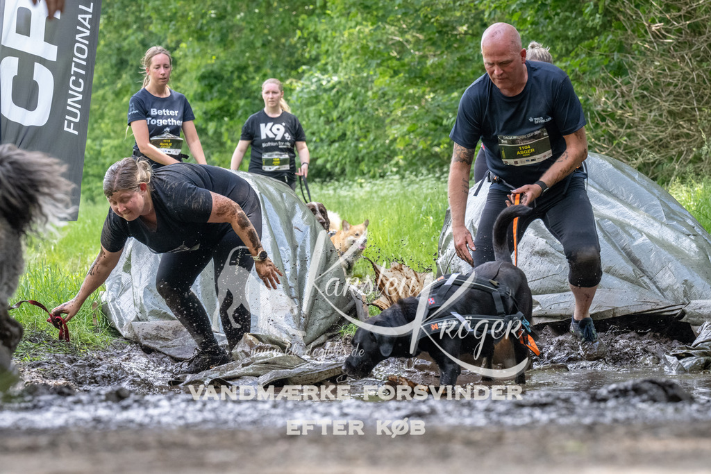 1239_ZZ92888 | kk-dogfotos