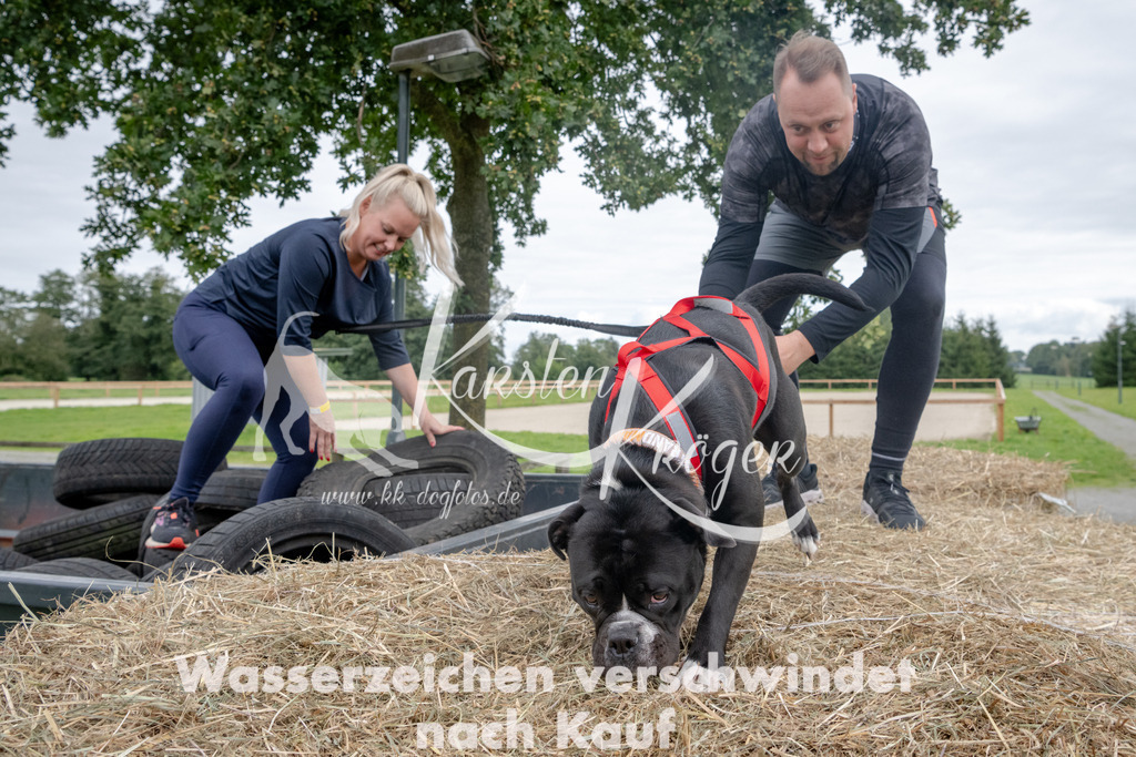 1225_ZZ90644 | kk-dogfotos