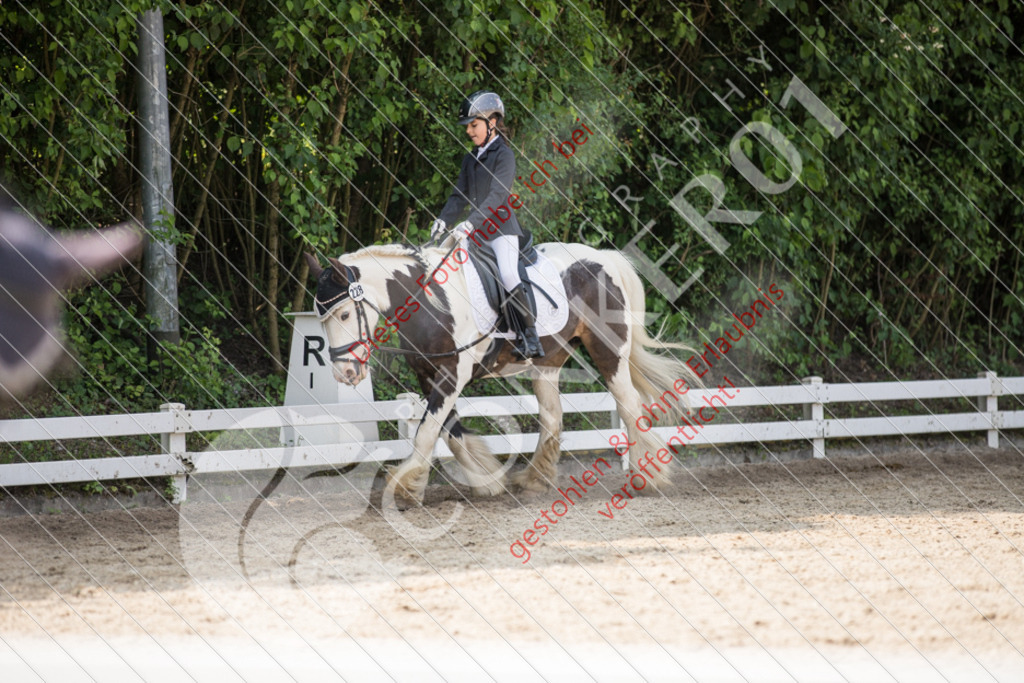 IMG_3328 | Sport-, Event- und Tierfotos in Profiqualität. Einfach auswählen, bestellen und herunterladen. Dein Moment – perfekt festgehalten.