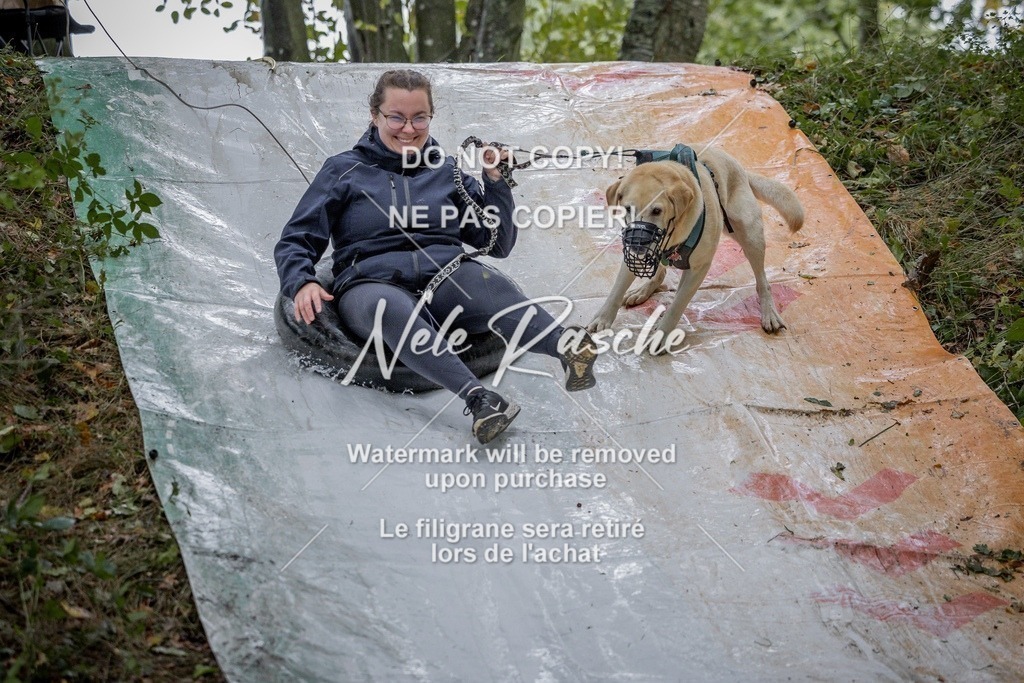 nelerasche_Hunsrück_Sa1000-1030_147-final | nelerasche