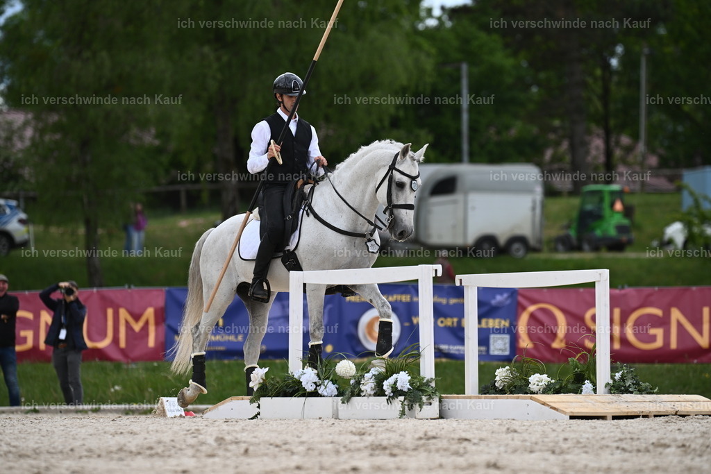 PI26_ST_Sara_Landvogt226_2855.JPG | working equitationturnier fotograf videograf stoibphotography marixx film working equitation deutschland reitsport turnierfotografie eventfotografie equestrian events