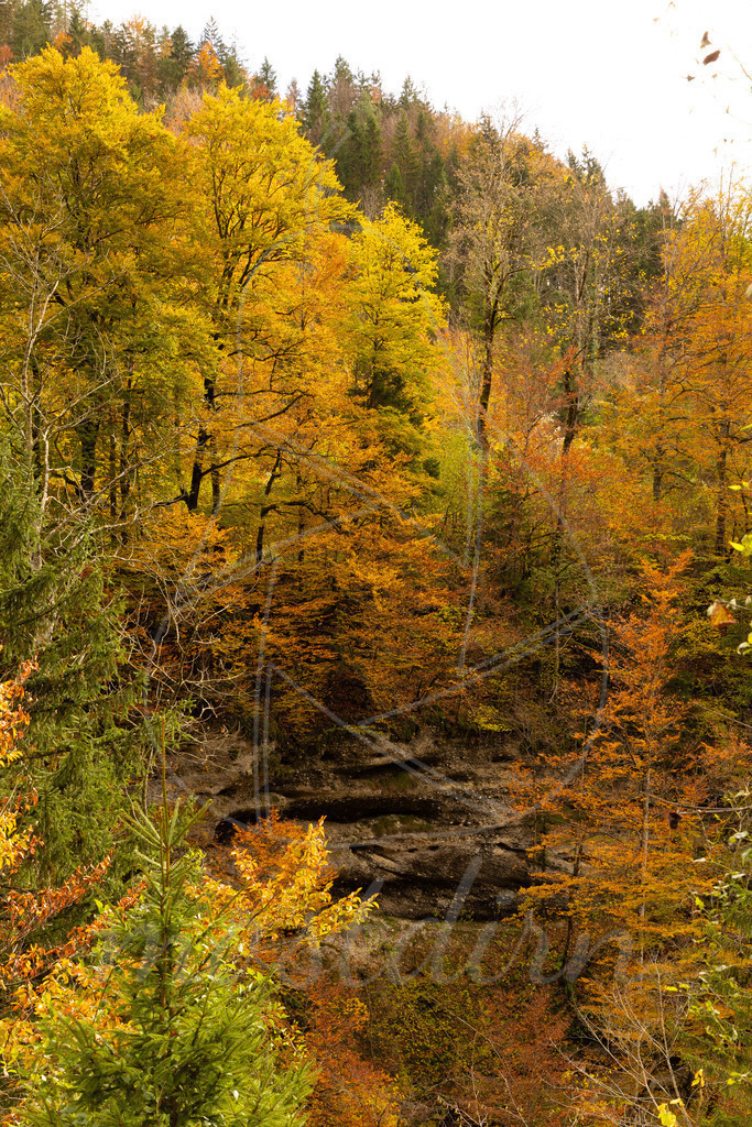 Palfau Herbst | Ihre Fotografin im Lungau, ihre Fotografin im Mostviertel, Wandbilder Onlineshop, Imagefotos für Ihr Unternehmen,  - Realisiert mit Pictrs.com