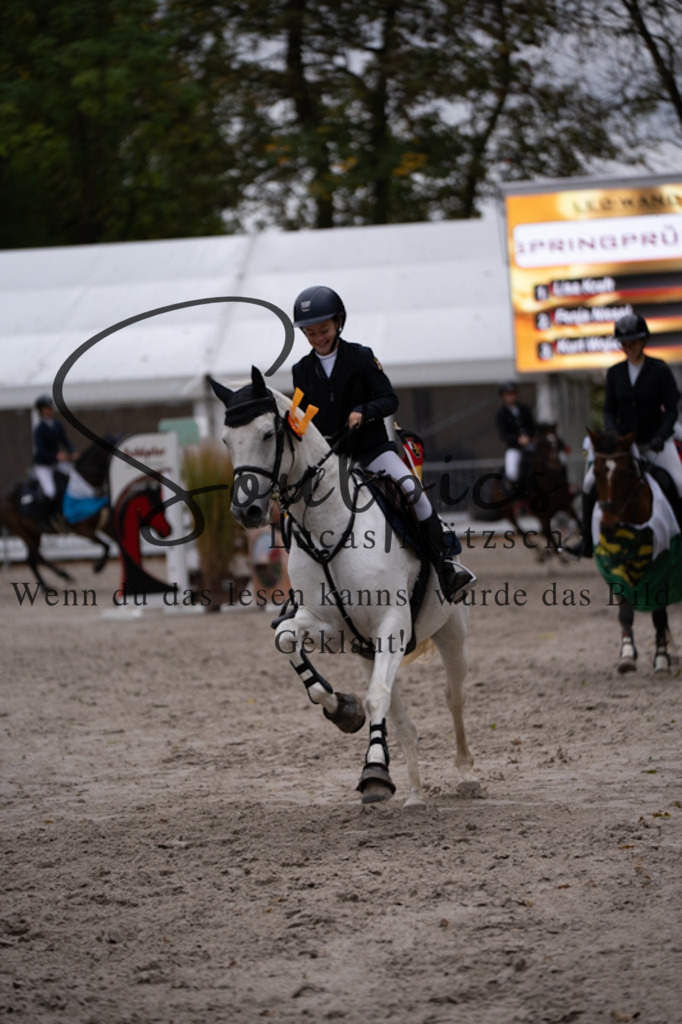 A7V09614 | Pferdefotograf