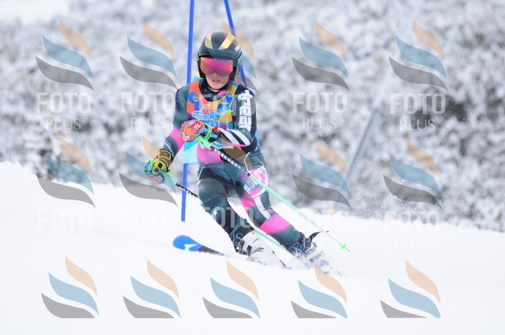 C3895 | holidayphoto