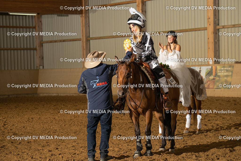 LAU01280 | dv-media-shop - Realisiert mit Pictrs.com