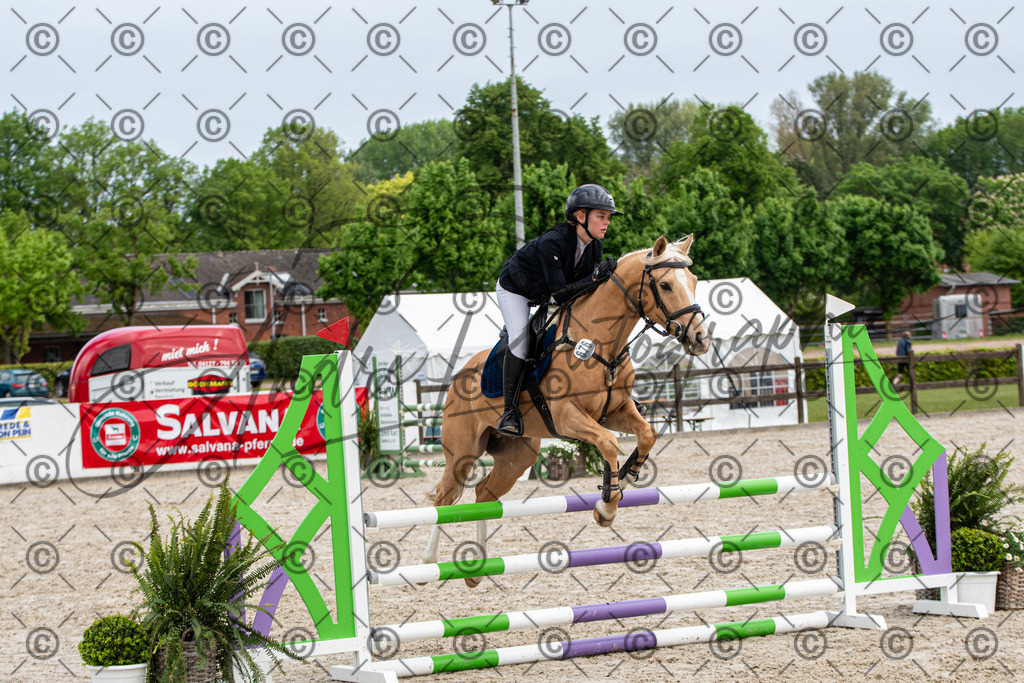 KPT_7914 | andre_photographic