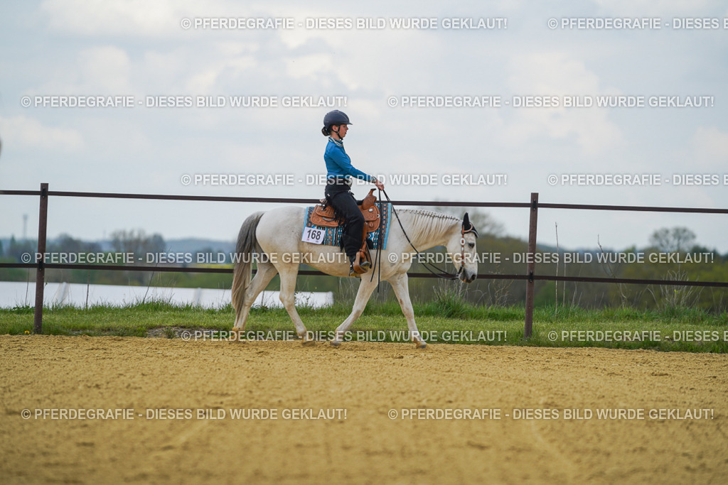 DSC06582 | Pferdegrafie