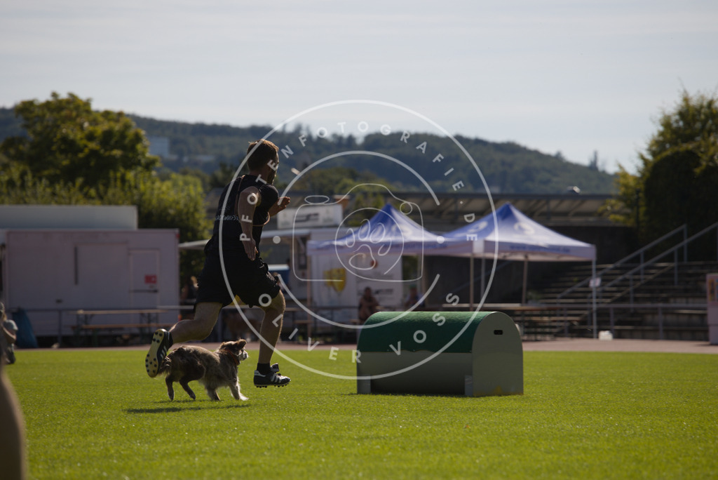 0L8A8303 | Hundefotografie, Tierfotograf, Pfotenfotografie, Fotoshooting Hund, Hunde Portrait, Hundesport, Hundeportraits, Heideshooting, Hunde, Sportfotograf, Hundefotograf, Turnierhundsport, THS,  - Realisiert mit Pictrs.com