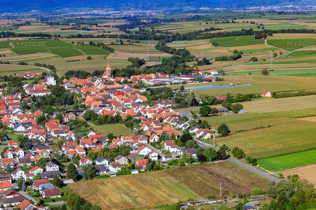 Luftbild: Dorfansicht von Osten in Minfeld im Bundesland Rheinland-Pfalz in Deutschland. Foto: IMG_20931.jpg vom 06.09.2009 durch Werner Riehm/FLY-FOTO.de