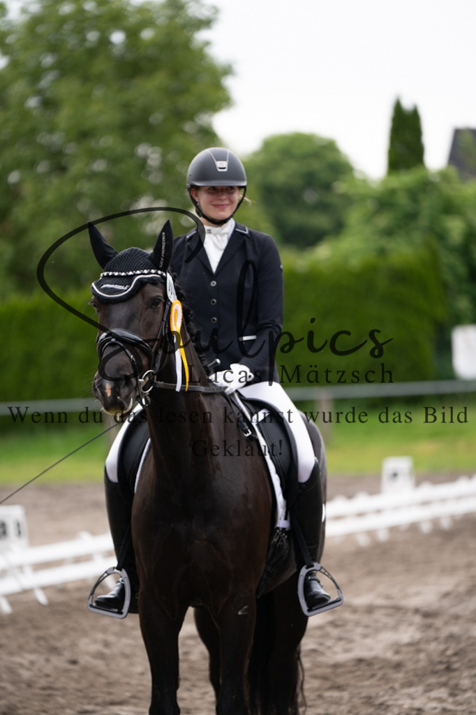 A7V03823 | Pferdefotograf