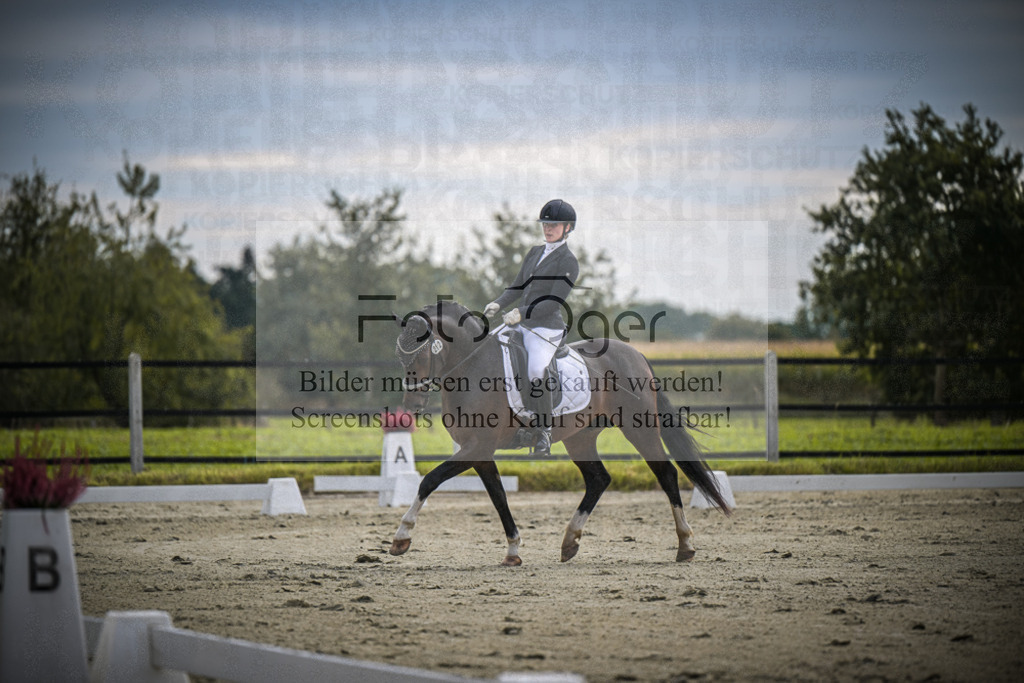 DOS_1031 | Entdecke hochwertige Reitturnierfotos von Foto Oger. Professionell, emotional und authentisch – jetzt Lieblingsmomente im Shop bestellen.Deutschlandweite Turnierfotografie. - Realisiert mit Pictrs.com