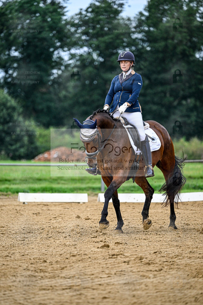 Reitturnier Hasbergen | Entdecke hochwertige Reitturnierfotos von Foto Oger. Professionell, emotional und authentisch – jetzt Lieblingsmomente im Shop bestellen. - Realisiert mit Pictrs.com