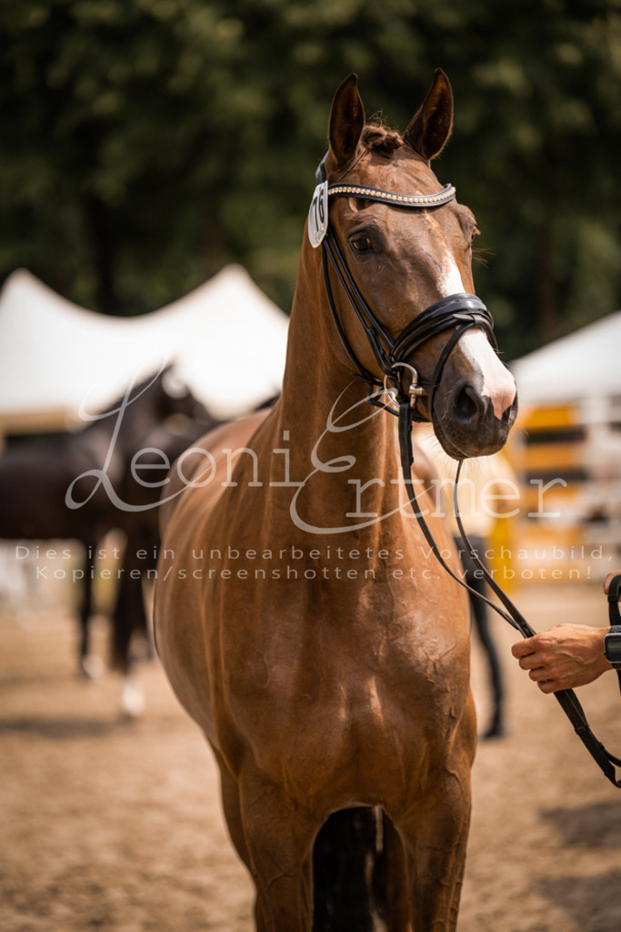 4.Fr00210 | Leoni Ertmer Photography - Realisiert mit Pictrs.com