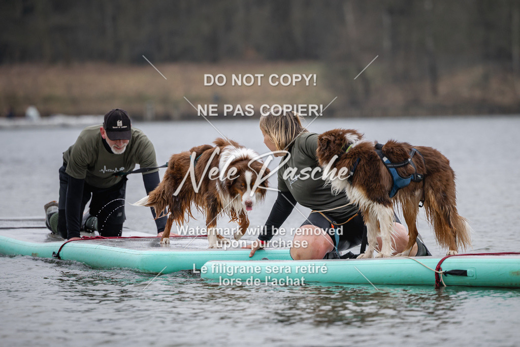 nelerasche_Hulsbeek_Sa1515-1600_33 | nelerasche