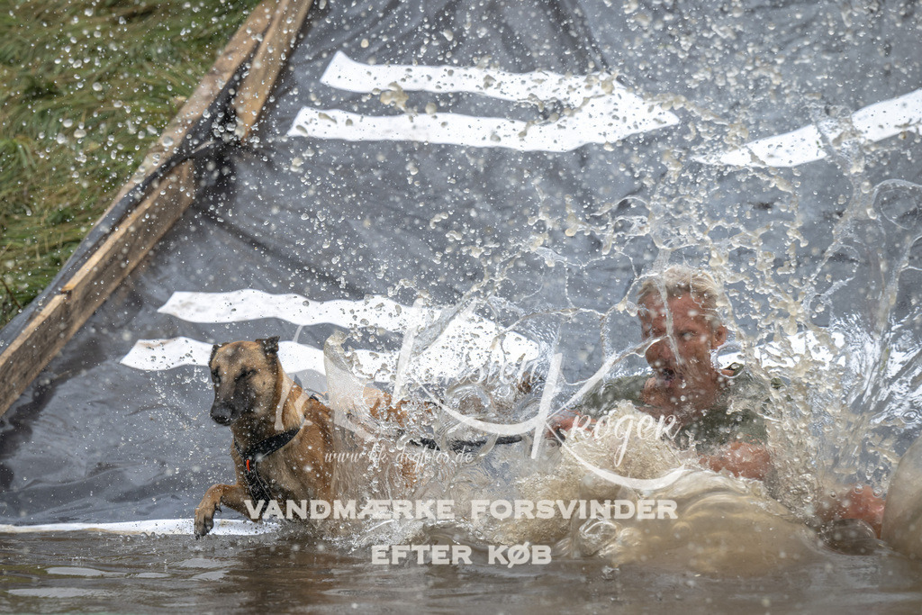 1520_ZZ92671 | kk-dogfotos