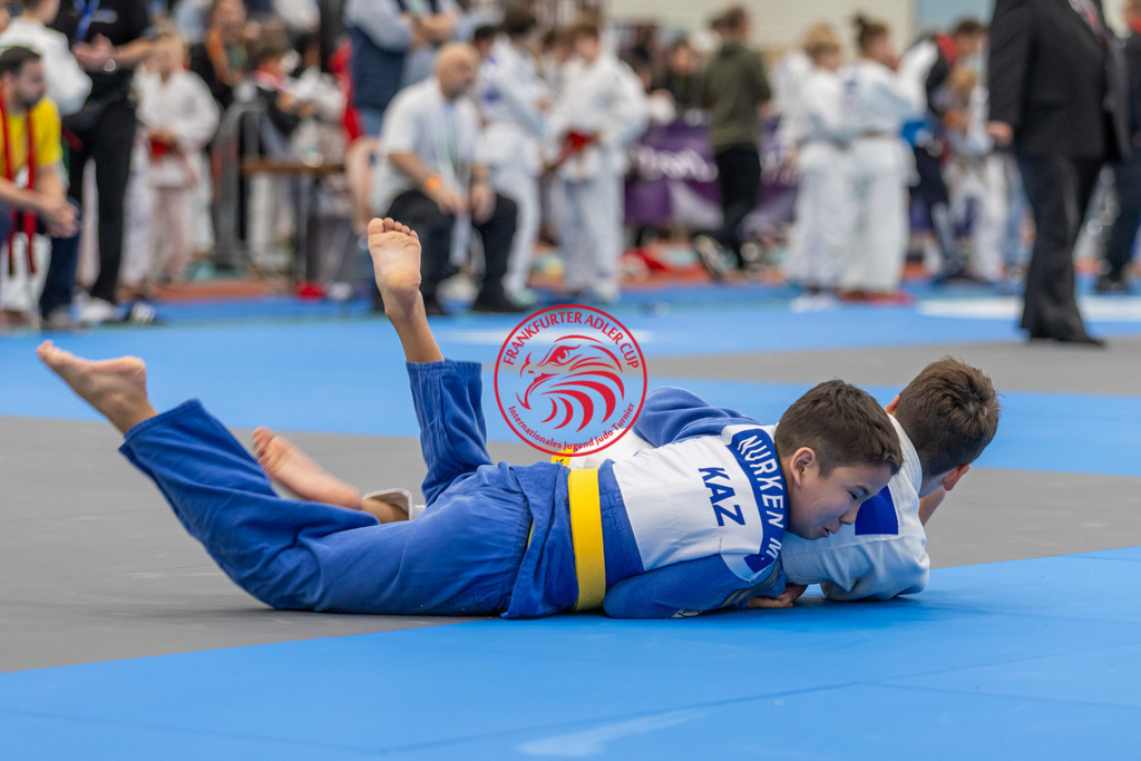Internationaler Adler Cup 2024 | Foto vom Internationalen Adler Cup Judo Turnier im Sport- und Freizeitzentrum Kalbach im Oktober 2024 - Realisiert mit Pictrs.com