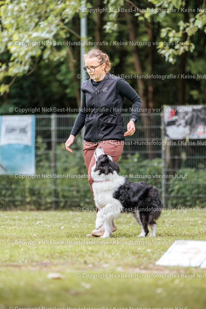 RO-Blumenthal-2026-Nickbest-Hundefotografie-2267 | Dein Hund! Dein Moment! Deine Erinnerungen! Hundefotografie in Bremen Blumenthal. Ich fange die besonderen Momente deines Vierbeiners ein – ob Indoor mit Blitzanlage oder in der freien Natur. Sicher dir dein Moment und dein Termin für eure Erinnerungen.