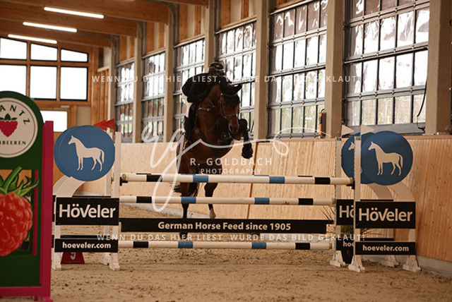 1J2A5051Christoph Lanske_ Catching Fire 14_ Kn092_ Glantz_ Hohen Wieschendorf | Foto- und Videografie für alles rund ums Pferd. Hochwertige Bilder und Videos vom Spring- und Dressurreiten, Voltigieren & mehr. Jetzt aktuelle Veranstaltungen und Preise im Shop ansehen. - Realisiert mit Pictrs.com