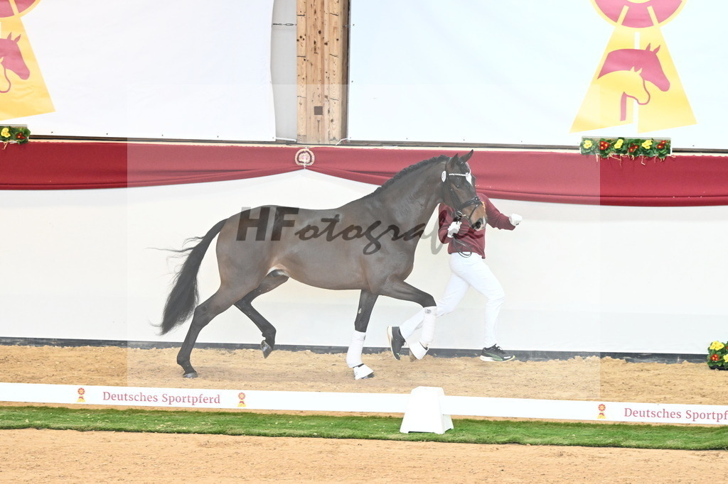 Kat.-Nr. 71 v. Va Bene_Müller_2240944 | hf-fotografie - Realisiert mit Pictrs.com