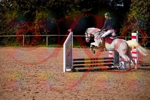 2026_10_03_Siefer-Hof_155107_Z81_69761042 | Professionelle Reitsport-, Turnier- und Eventfotografie von Robert Broda. Galerien mit ausgewählten und bearbeiteten Bildern direkt online ansehen und bestellen.