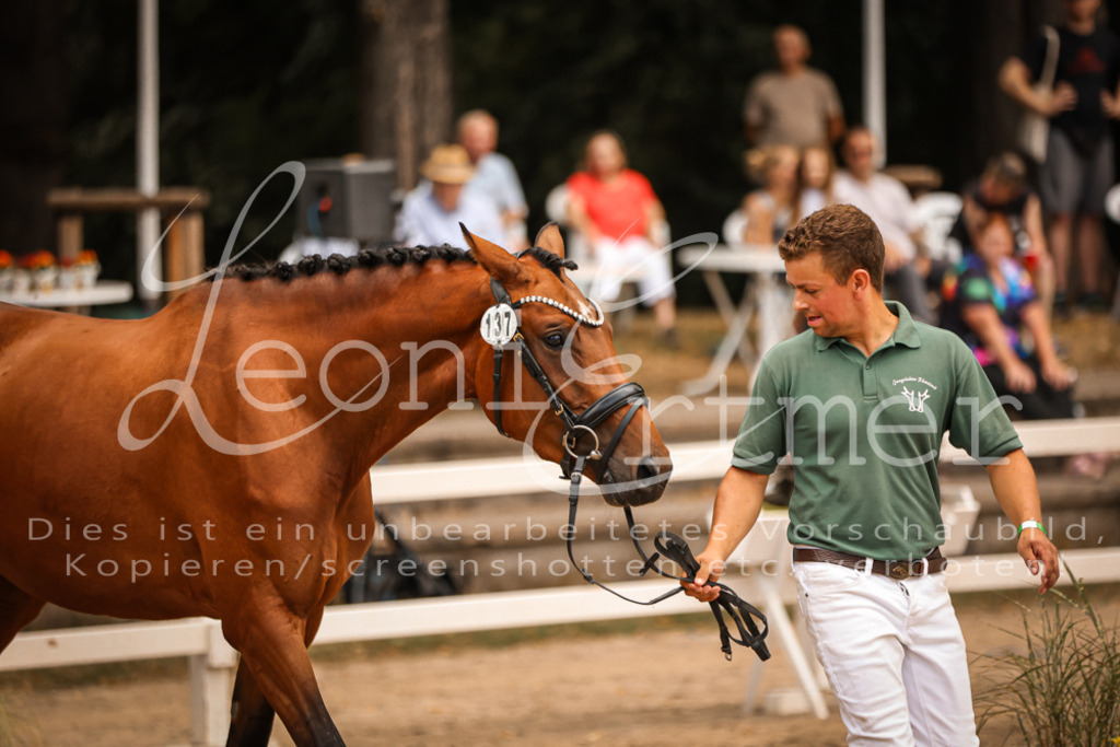 05.So00004 | Leoni Ertmer Photography - Realisiert mit Pictrs.com