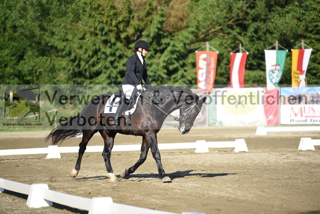 DSC_6904 | equestrian-live-com