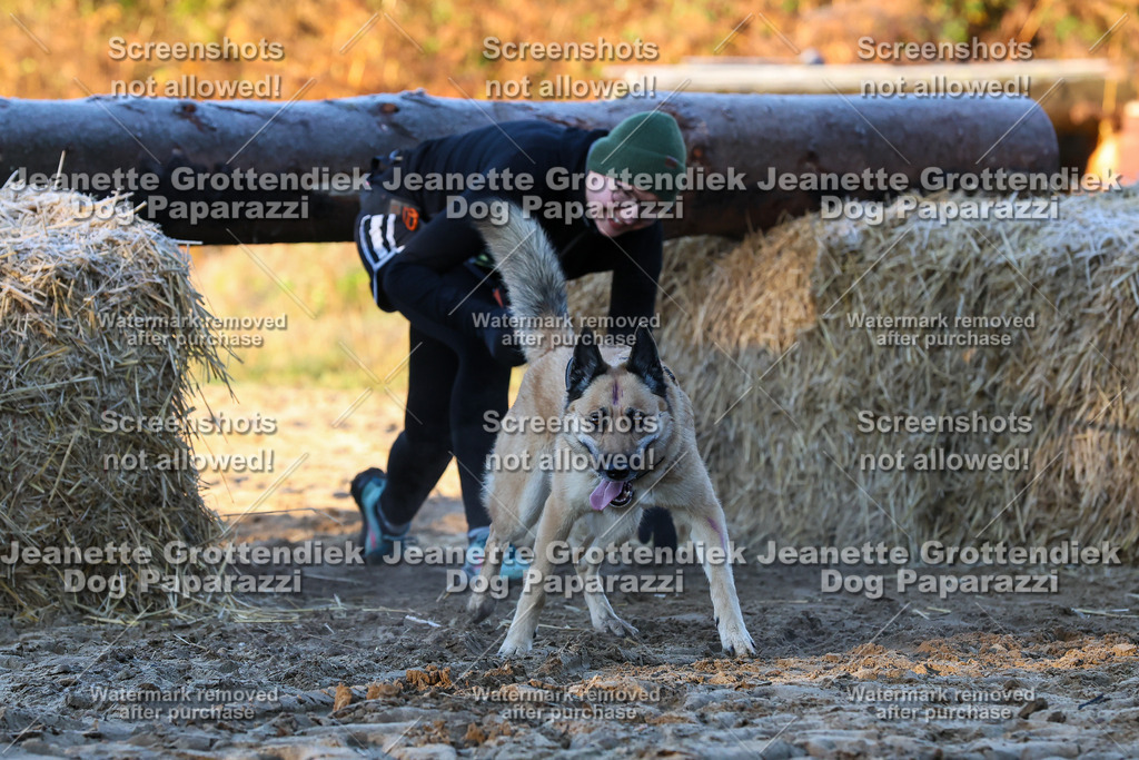 Dog Paparazzi - Strongdog 10-25-555 | Dog Paparazzi Jeanette Grottendiek Fotografie & Videografie - Realisiert mit Pictrs.com