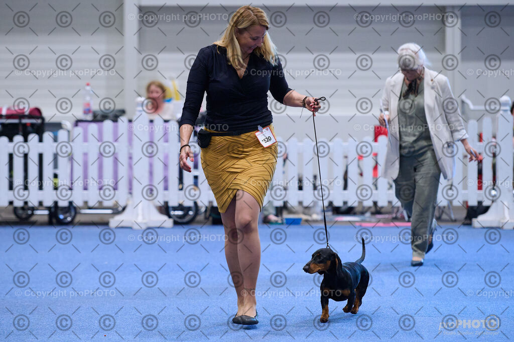 202406_ÖKV-IHA-Tulln24_DSC_3892 | proPHOTO - Realisiert mit Pictrs.com