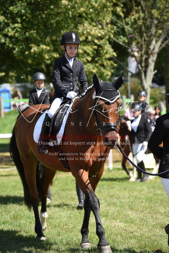 DSC_9749 | Pferde- und Turnierfotografie in Westsachsen. Pferdeportraits, Auftragszeichnungen und intuitive Kunst.