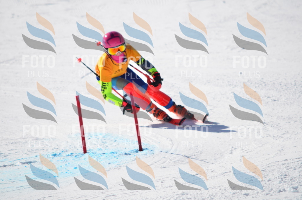 C8438 | holidayphoto