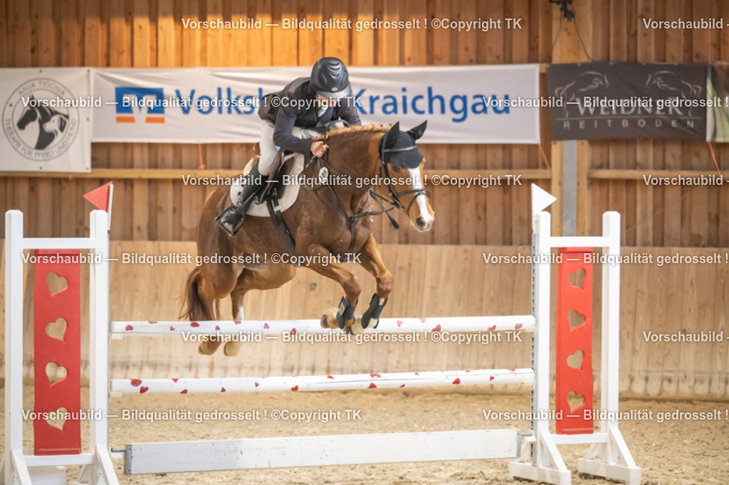 _D5A8514 | Emotionale Pferde- & People-Fotografie rund um Heidelberg, Leimen & Umgebung. Natürliche Fotos von Pferd, Mensch & Familie. Jetzt Termin sichern!