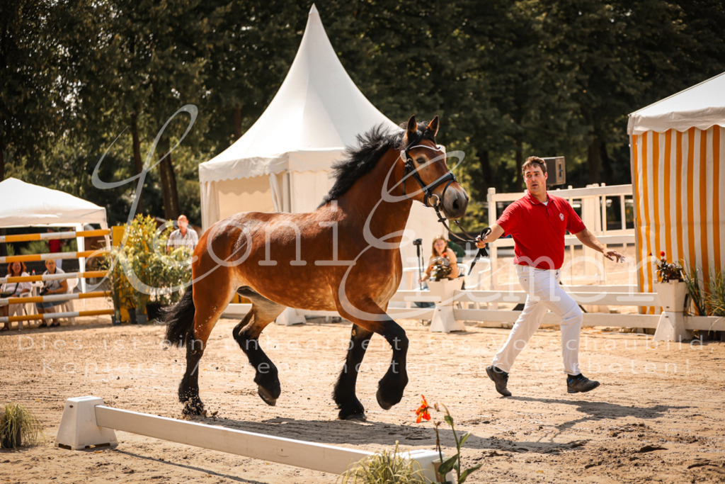 1.Sa00028 | Leoni Ertmer Photography - Realisiert mit Pictrs.com