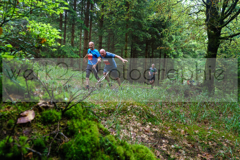 Rennsteiglauf Marathon 2024 | 25. Mai 2024 - 42,2 km von Neuhaus nach Schmiedefeld
