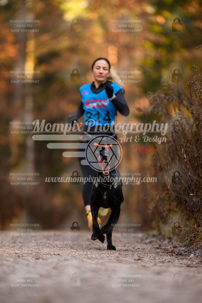 MompixPhotography_DM_AKDM_SO_2025_-25 | PayLife