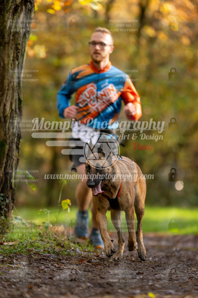 MompixPhotography_Bischwiller23_Canicross-117 | PayLife