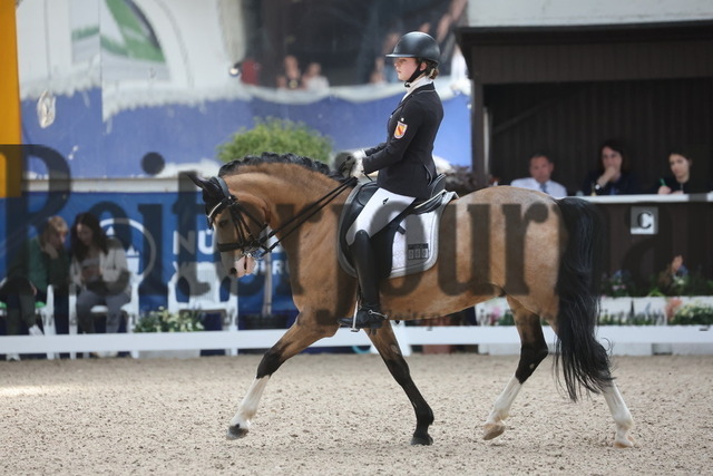 Pforzheim_2024_Prfg.Nr.12_Dressurreiterprfg.Kl.M_Nürnberger-Burgpokal_Cecile Mutz_Capri au Lait (3) | Alle Fotos der Reiterjournal Fotografin Doris Matthaes im Reiterjournal Online-Fotoshop. - Realisiert mit Pictrs.com