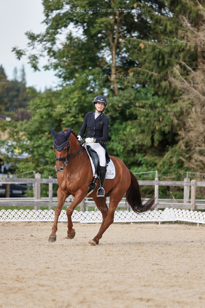 13-220-S___ -StoibPH-6962 | working equitationturnier fotograf videograf stoibphotography marixx film working equitation deutschland reitsport turnierfotografie eventfotografie equestrian events
