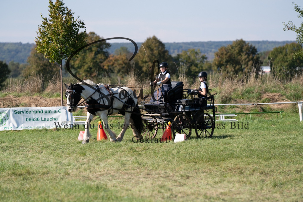 A7V04377 | Pferdefotograf