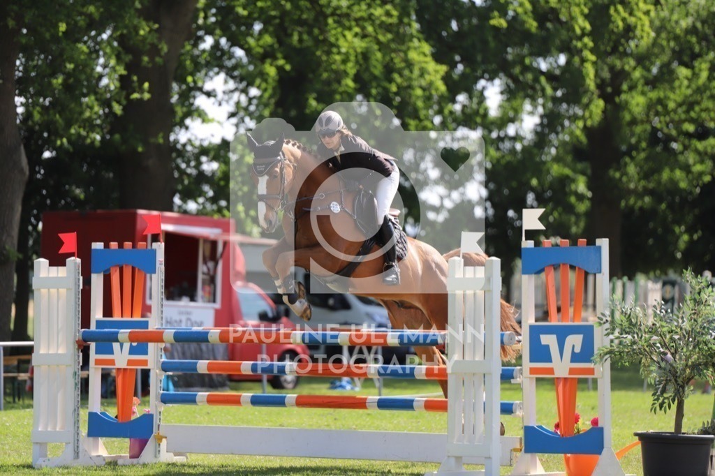 IMG_6588 | Pauline Ullmann Photography - Realisiert mit Pictrs.com