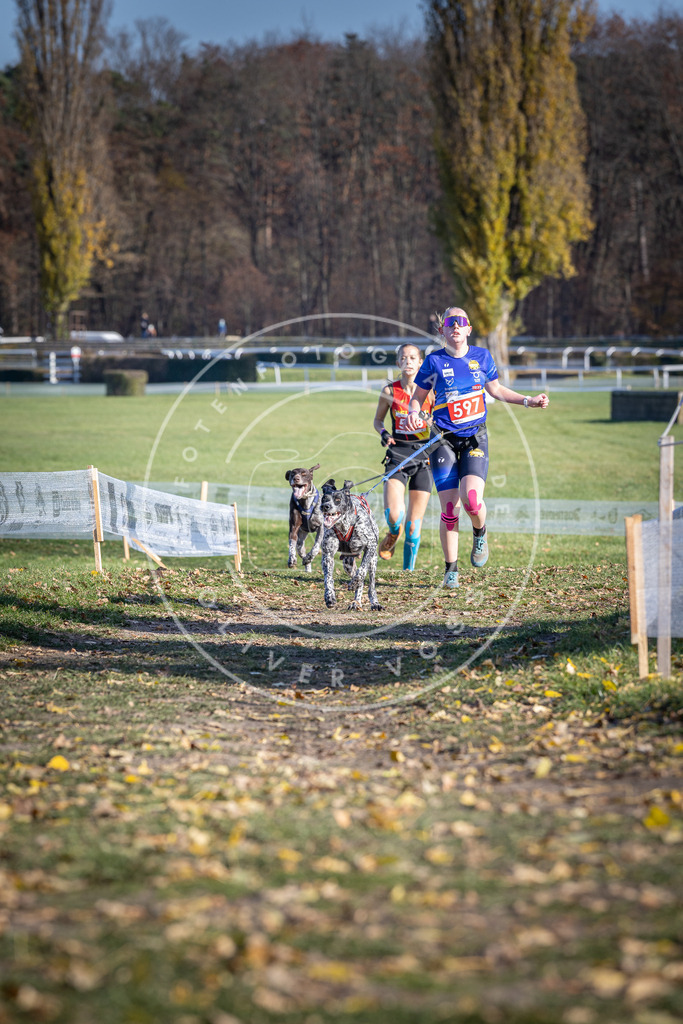 CaniXpix_DV3A9403 | Hundefotografie, Tierfotograf, Pfotenfotografie, Fotoshooting Hund, Hunde Portrait, Hundesport, Hundeportraits, Heideshooting, Hunde, Sportfotograf, Hundefotograf, Turnierhundsport, THS,  - Realisiert mit Pictrs.com